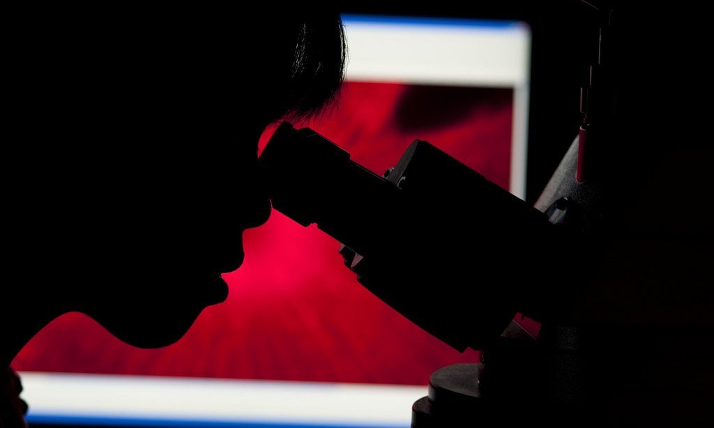 Best Microscopes For Kids. The follow article will touch on: architecture, mobile, insect, prepared slides, rivacy, tiny, it helps, store, digital camera, on this, maximum, histology, observation, parent, this one, voice, rack, handheld microscope, let, separate, my first, depends, pocket, learning, school students, plates, viewing head, vast, kids, it gives, to set, questions, personal, step, to school, clear, shrimp experiment, manuals, following, five, awesome, plus, gear, samples, droppers, writing, brands, well, sign, photo, group, choice, it also, shared, m150c, more expensive, specifically, opening, microscope, scope, learn, this, observe, makes, electric, bigger, writing, birthday, quality optics, dish, things that, seen, discover, seven, videos, at some, microscope that, binocular, suit, to keep young, curious, magnification levels, easily, pcs, adult, baby, microscopes that, using the microscope, minute, and develop.