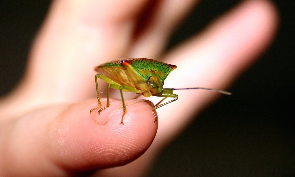 9 Educational Toys To Inspire A Love For Nature