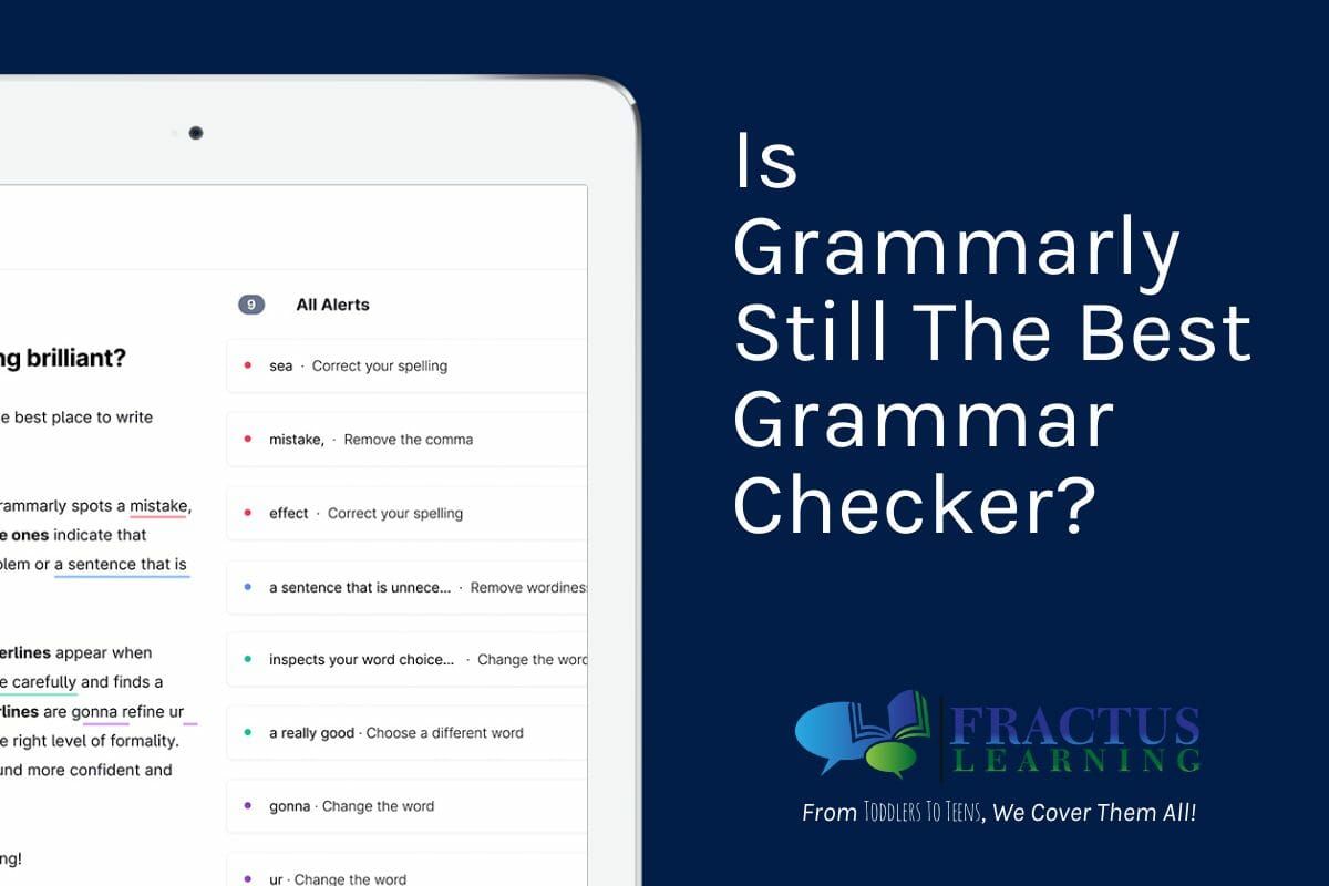 Grammarly Single Review