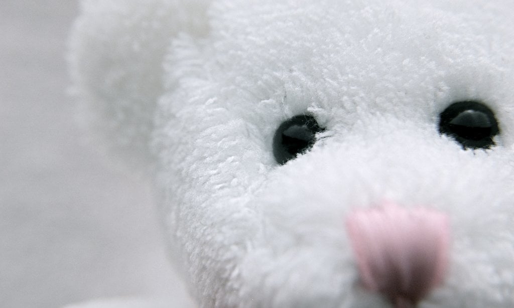 7 of the Best Stuffed Animals for Lovable Learning